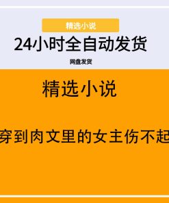 穿到肉文里的女主伤不起