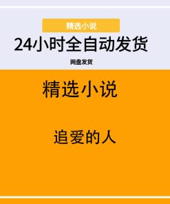 追爱的人