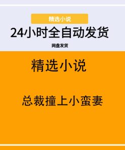 总裁撞上小蛮妻