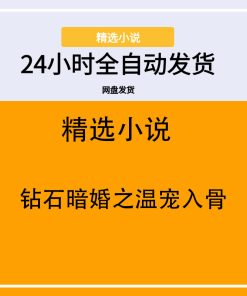 钻石暗婚之温宠入骨