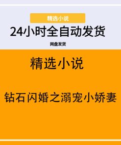 钻石闪婚之溺宠小娇妻