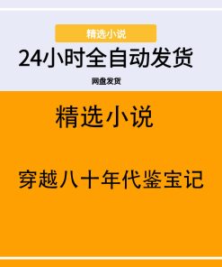 穿越八十年代鉴宝记