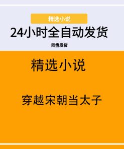 穿越宋朝当太子