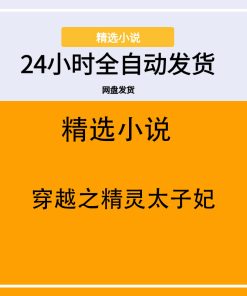 穿越之精灵太子妃