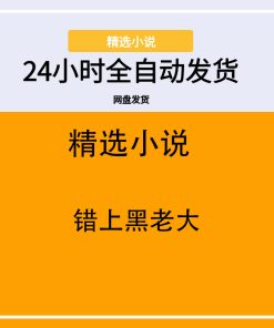 错上黑老大