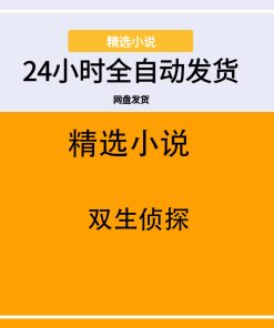 双生侦探