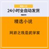 网游之我是武学家