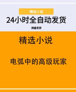 电弧中的高级玩家