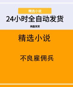 不良雇佣兵