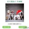 QQ头像加上圣诞帽子在线生成源码