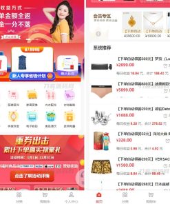 2023全新返佣商城分销商城理财商城系统源码 全开源PHP+VUE源码