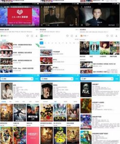 如意影视 运营级+完整类库+解析线路+无限增加或删减解析接口+如意可视化播放器1.1