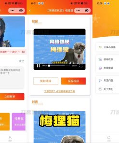 2023去水印小程序源码修复版-前端后端内置接口+第三方接口