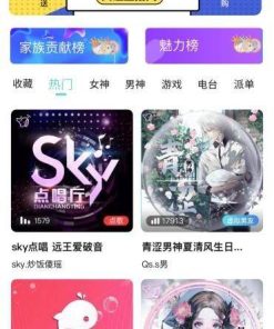 游戏陪练，预约交友，语音聊天_双端APP源代码+编译说明