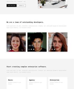 股票软件开发公司网站模板