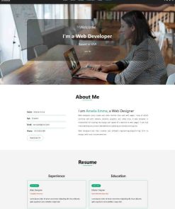网页设计开发师简历网页模板