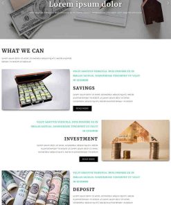 美元外汇金融网站模板