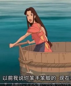 迪奥vip全网视频解析源码
