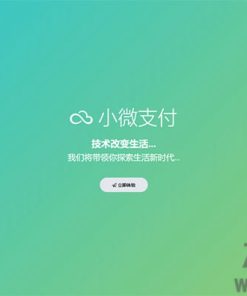 小微支付服务商专用源码 | Thinkphp内核