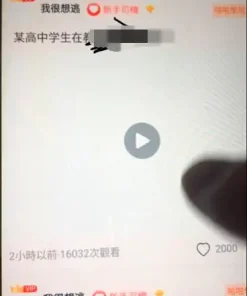 兔子团聚星社区app整理修复版 带完整搭建视频教程