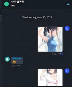 最新公共聊天室系统源码 ChatNet V1.11-V1.9 完整汉化版源码 私人聊天程序