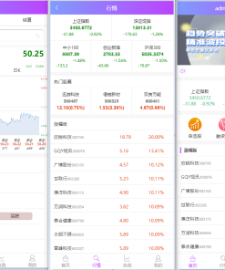 2021最新单手机版双融/金融系统 带静态推广官网