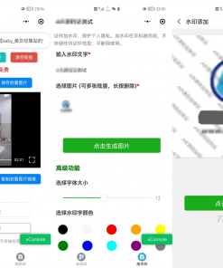 简约短视频去水印加图片多样化加水印微信小程序源码下载支持多流量主