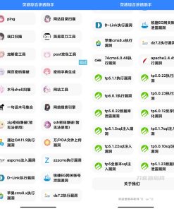 荧惑网站渗透源码 IAPP