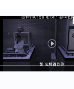 BGS本地局域网视频系统源码