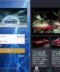 【汽车区块链】理财程序php源码_新解密去后门去广告