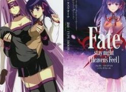【Fate/stay night Heaven’s Feel】漫画（完结） 百度网盘下载