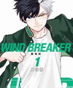 【WIND BREAKER 防风铃】漫画（完结） 百度网盘下载
