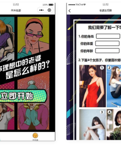未来老婆查询生成器微信小程序源码 流量主系列