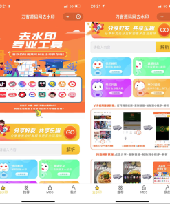 2022最新版去水印小程序源码