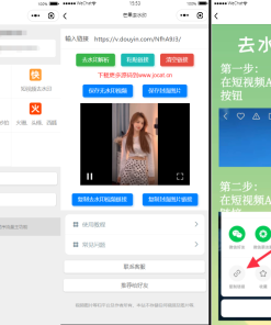 自带多平台解析接口短视频去水印图集水印小程序源码下载