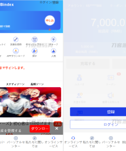 全新UI影视投资/日语投资系统/优惠加息送卷/虚拟币充值/在线客服