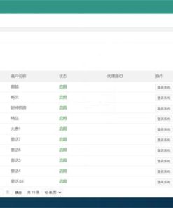 2021最新修复支付系统运营版源码