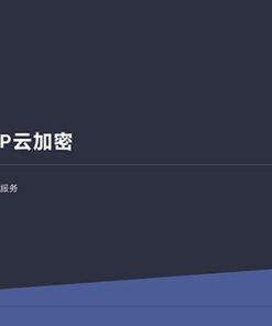 2021最新PHP在线云加密平台源码