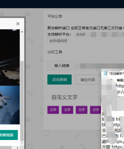 聚合短视频解析网程序源码