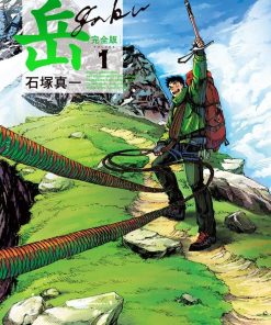 【岳】漫画（完结） 百度网盘下载