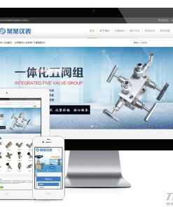 互联网仪表管件公司机械电子类企业网站源码带手机端响应式
