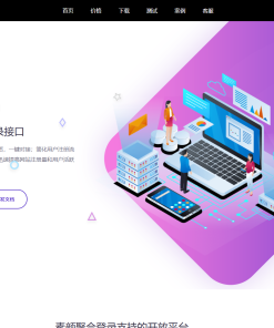 彩虹聚合登录系统 首页简约模板源码