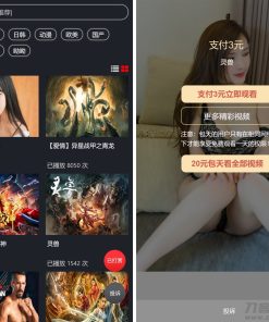 最新打赏系统云赏8.2 包天月季年视频打赏会员版 /影视付费系统 内置支付接口