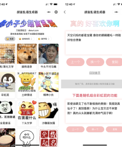 胡言乱语生成器微信小程序源码/在线取名等支持流量主收益