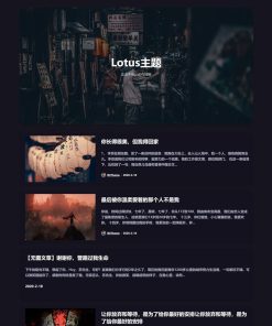 WordPress暗黑极客自媒体资讯博客主题Lotus1.1