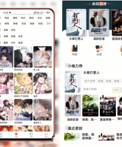 全新uniapp小说漫画APP小说源码/会员阅读/月票功能