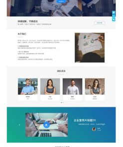 WordPress响应式通用企业网站主题模板Start主题