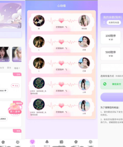最新陪玩陪聊系统网站源码 娱乐交友系统公众号版