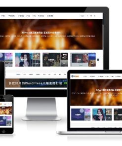 ripro虚拟资源主题8.9开心版/免授权/ripro日主题V8.9