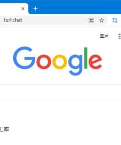 Any-Proxy在线反向代理源码